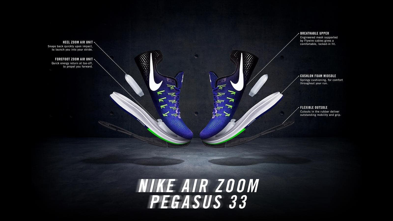 Pegasus33_banner