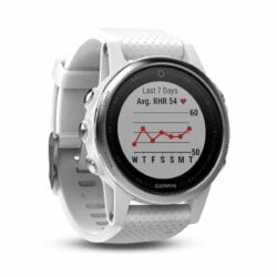 Đồng hồ thể thao Multi-Sport GPS Garmin fenix 5S (Trắng, 42mm)