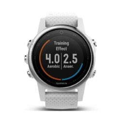 Đồng hồ thể thao Multi-Sport GPS Garmin fenix 5S (Trắng, 42mm)