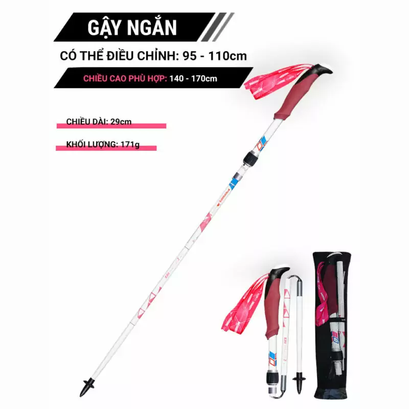 gay_leo_nui_gap_carbon_pioneer_peakelves_2_005